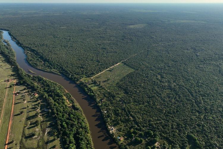 A conflict over cattle in Brazil's Amazon highlights tensions for Indigenous peoples