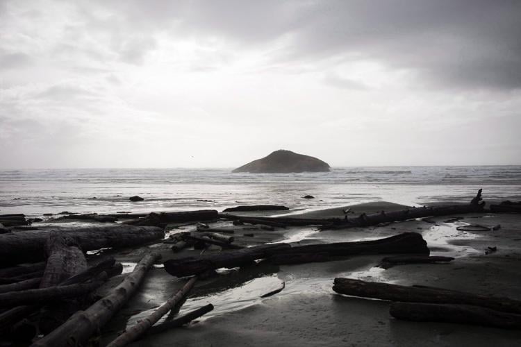 Bryde's whale washes ashore in only known sighting of the animal in B.C.