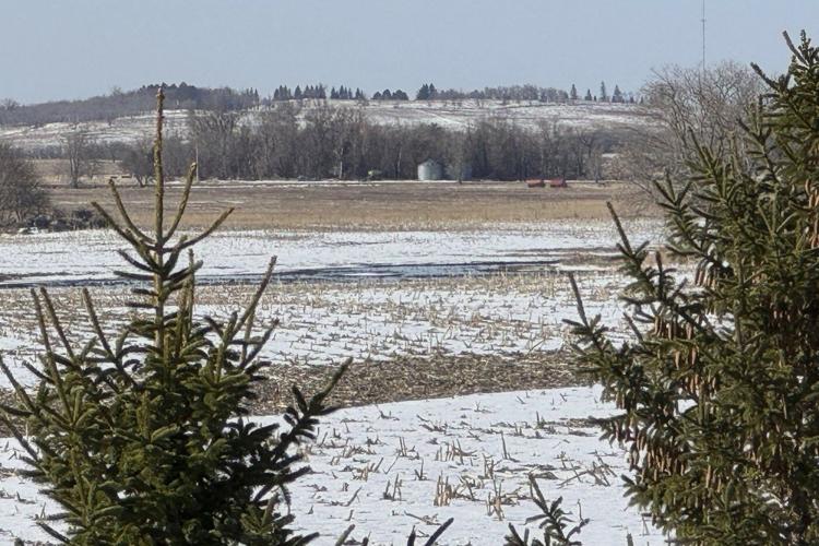 Preliminary findings show a fatigue crack caused a Keystone Pipeline oil spill in North Dakota