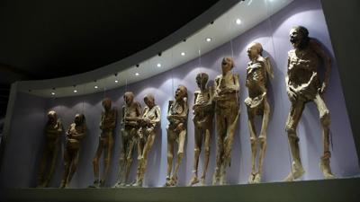 Mexican government says the arm of a 19th century mummy came off after mishandling by museum staff