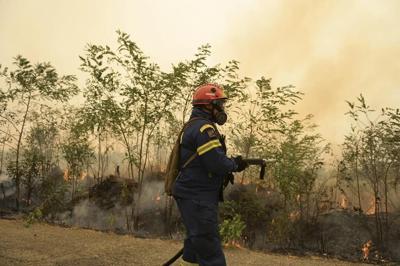 Greece: Firefighters rescue 25 migrants trapped in forest as massive wildfire approached