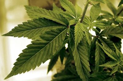 A campaign to ask Ohio voters to legalize recreational marijuana falls short -- for now