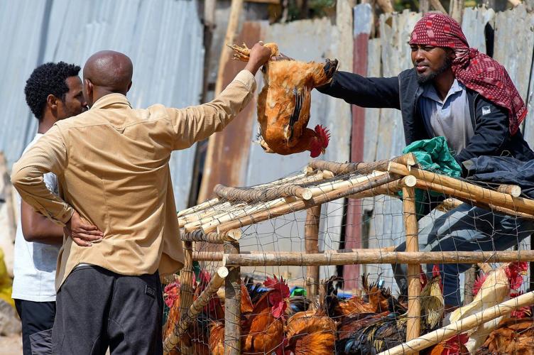 Ethiopians celebrate Easter with calls for charity and peace