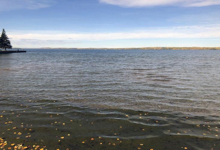 Stay a town or become a city? Alberta community again weighing the pros and cons