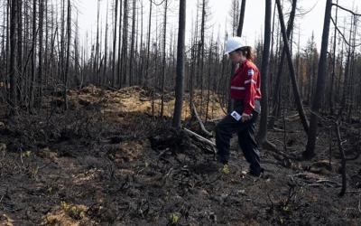 Les feux au Québec deux fois plus susceptibles de se produire en raison du climat