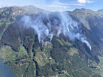 Le nombre de feux de forêt continue de diminuer en Colombie-Britannique