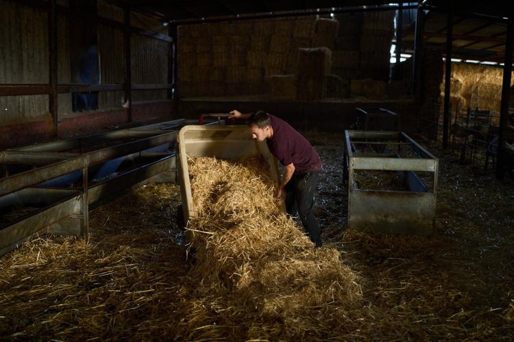 A neglected and ancient trade in Spain gets a boost from African migrants