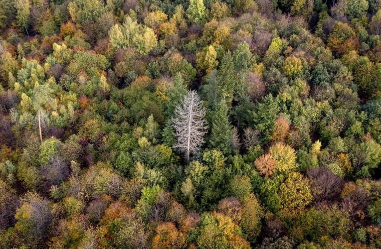 Leaders push for climate action, fossil tax at UN talks