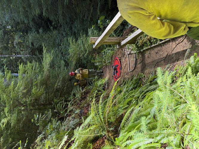 A fire is burning one of the world's tallest trees near the Oregon coast