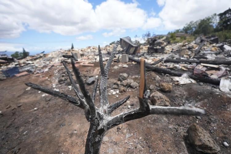 2 victims of Maui wildfire identified. Death toll rises to 106. Follow live updates