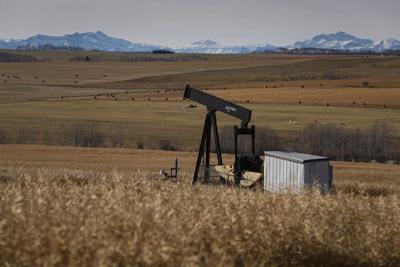 al group seeks ethics investigation into Alberta Premier Smith adviser