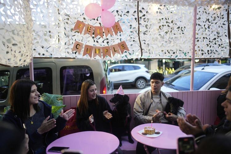 AP PHOTOS: As more Argentines go childless, pampered dogs become part of the family