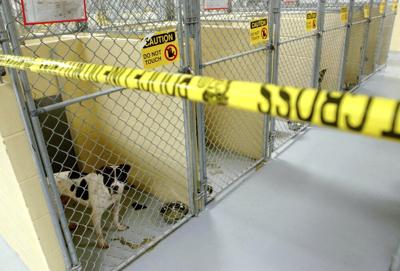 Former NFL player convicted in large-scale dogfighting operation in Oklahoma