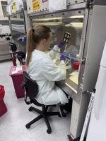 Cartilage Tissue Engineering Heads to Orbit in NSF and NASA-supported Study at the International Space Station
