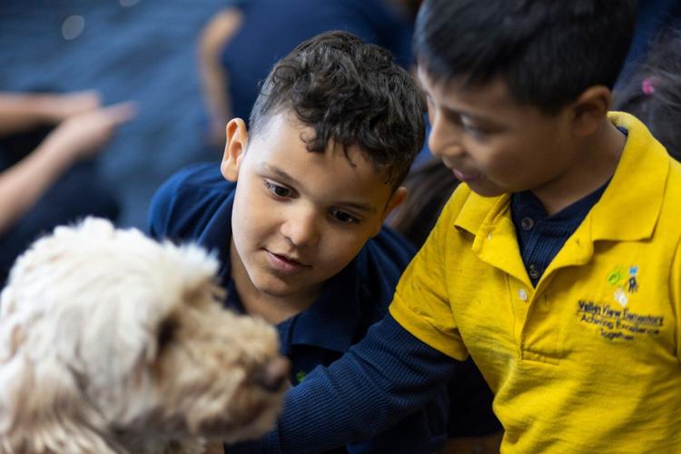 The Minneapolis immigration crackdown ended months ago. For these little kids, trauma remains