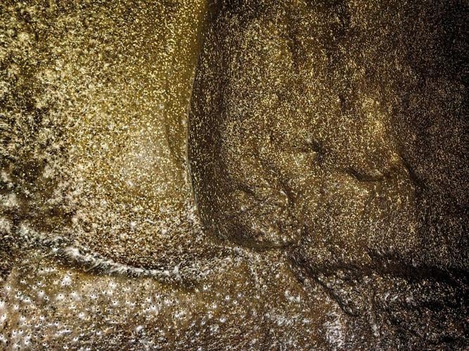 Arachnid super-web reveals the surprising 'constant party' life of cohabiting spiders