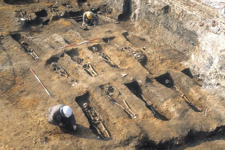 Genetic twist: Medieval plague may have molded our immunity
