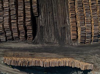 B.C.'s independent wood manufacturers decry retroactive U.S. softwood duties