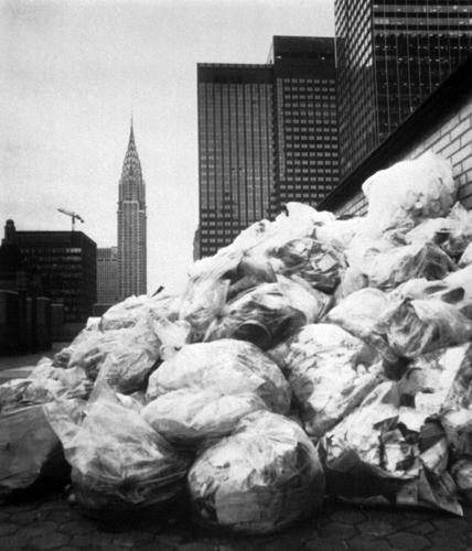 Rats feast on New York’s City's bagged garbage. Can putting it in bins end the smorgasbord?