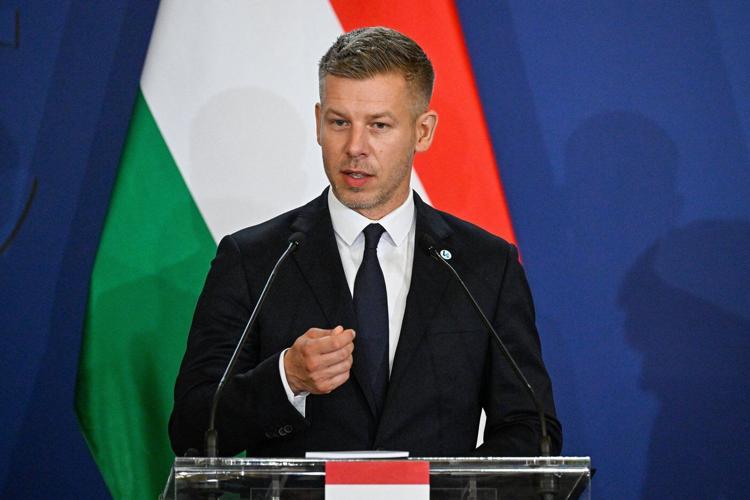 Leaders of four Central European countries meet in Hungary to reboot regional group