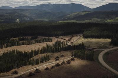 'Little window': Coal mine supporters hope for change under new Alberta premier