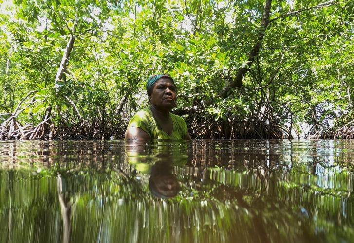 Papuan women's mangrove forest in Indonesia is increasingly threatened by development and pollution