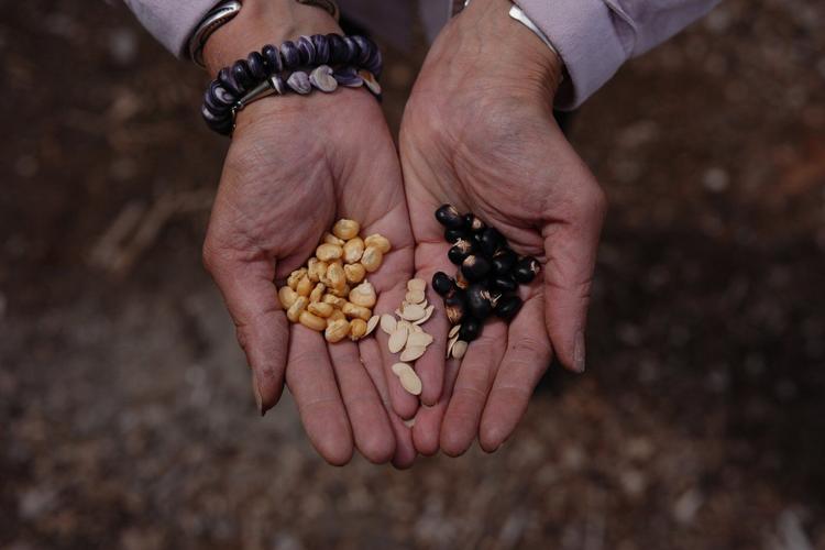 Tribes hope Farm Bill can feed more people and preserve Indigenous culture