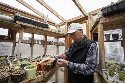 'It's so sad': B.C. gardeners grieve as they take stock of cold snap's toll