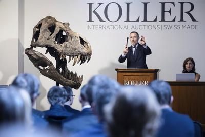 Belgian foundation to exhibit auctioned T. rex in Antwerp