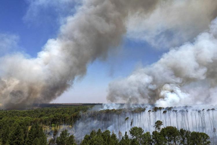 'Leo will follow Francis.' Amazon Catholics hope the new pope will protect the rain forest