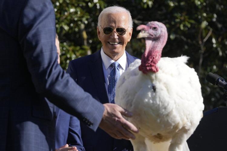 Biden opens final White House holiday season with turkey pardons and first lady gets Christmas tree