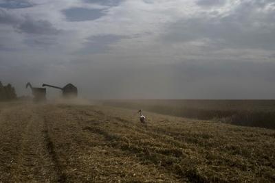 Global food prices declined from record highs in 2022, the UN says. Except for these two staples