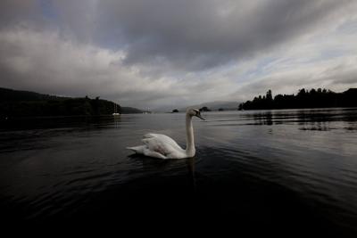 UK government vows to clean up Lake Windermere after beauty spot clogged with sewage