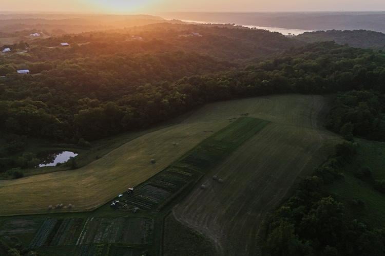 Specialty farmers adapt harvests, protect crops in face of extreme heat