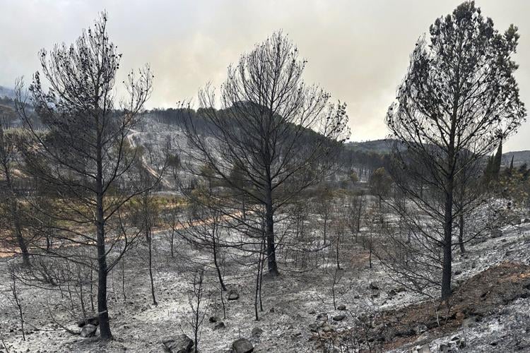 France's largest wildfire in decades leaves a trail of devastation