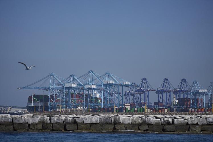 In LA port, bobbing blue floats are turning wave power into clean energy