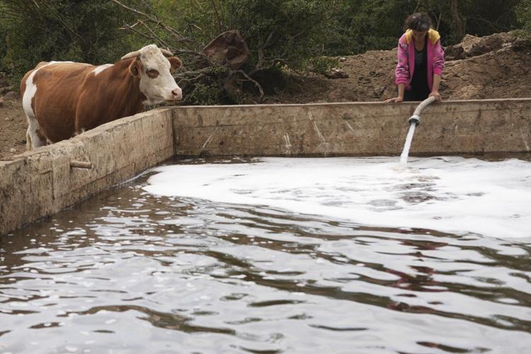 Water tanks replace springs on a Serbian mountain as drought endangers some 1,000 cows and horses