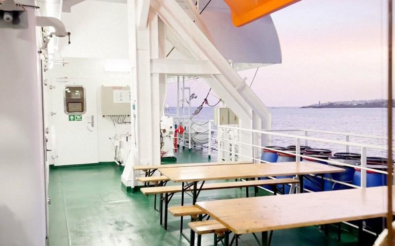A timeline of the cruise ship hantavirus outbreak and when passengers fell sick