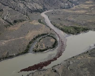 B.C. landslide 'dramatically' impacts salmon spawn but conditions improve: task force