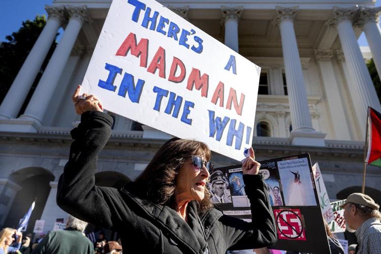 PHOTO COLLECTION: US Politics Protests