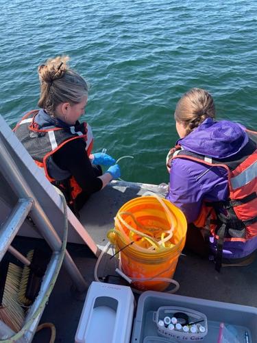 Scientists: Atmospheric carbon might turn lakes more acidic