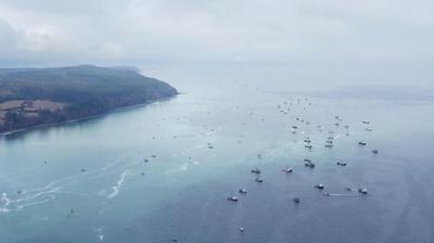 Un rassemblement dénonce l'absence de réglementation pour le démantèlement de navires