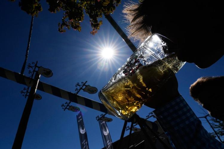 Beer, music and shouts of 'Hau-Ruck' as a Bavarian village raises its new maypole