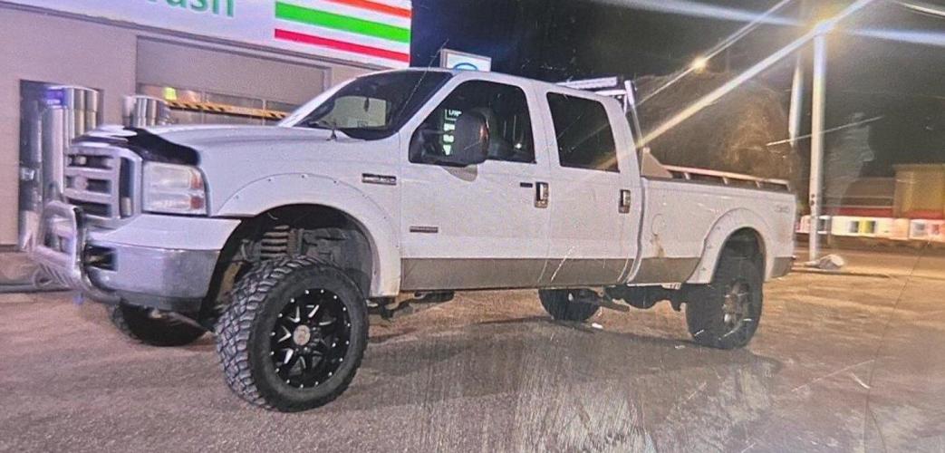 A crime most fowl: Alberta Mounties on hunt for two peacocks stowed in stolen truck