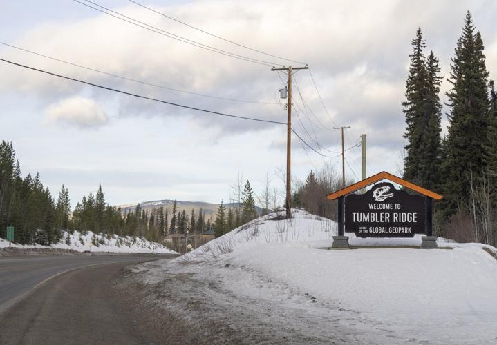 B.C. Conservative MPs Zimmer, Caputo ask for public inquiry into Tumbler Ridge deaths