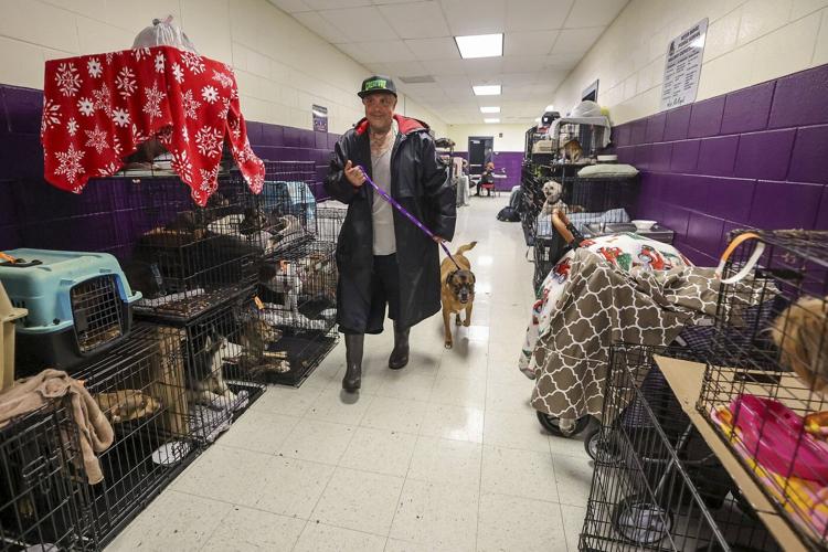 How to prepare your pets for when a hurricane makes it rain cats and dogs