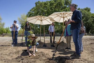 California announces first new state park in a decade and sets climate goals for natural lands