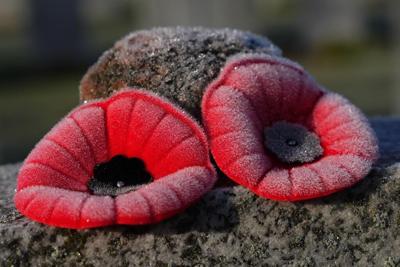 New poppy campaign initiatives seek to modernize the tradition of remembrance