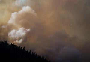 Raging wildfire destroys buildings near Boston Bar, B.C