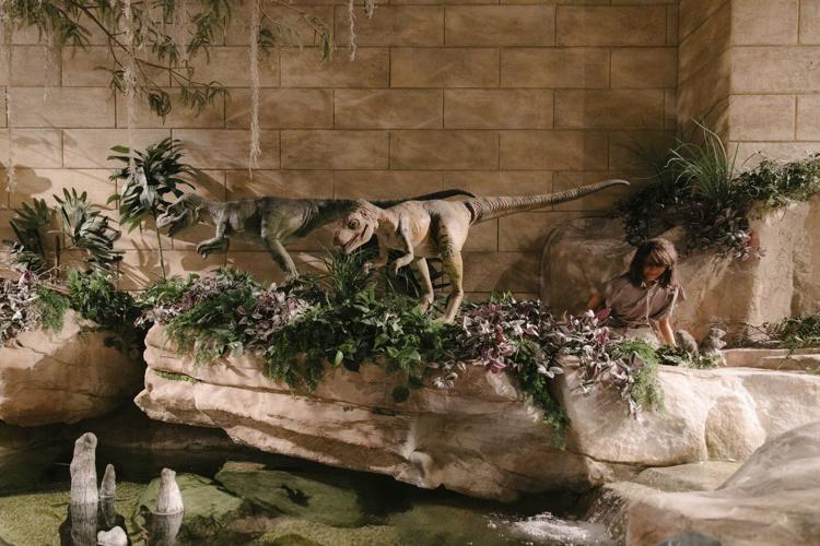 Takeaways from AP's report on creationist beliefs 100 years after the Scopes trial